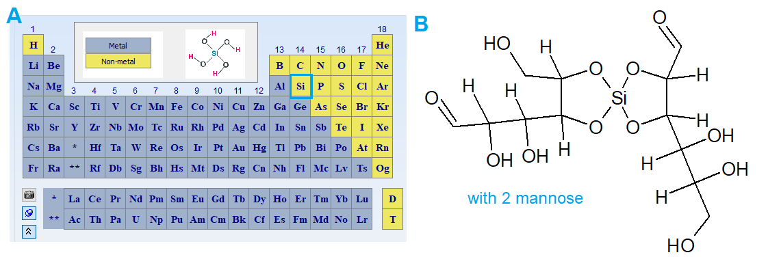 BoneHealth_silica
