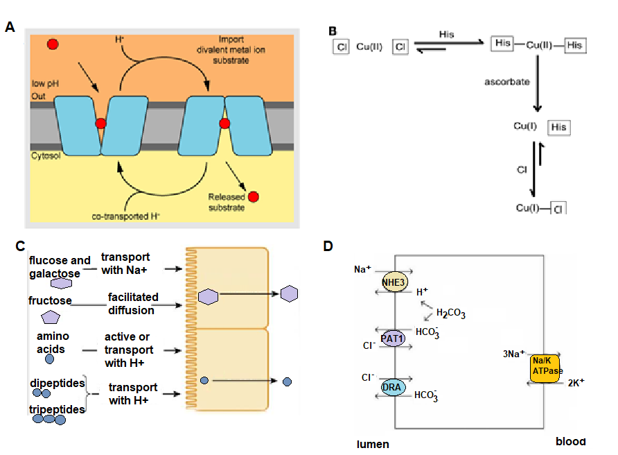 CBthesisFig6